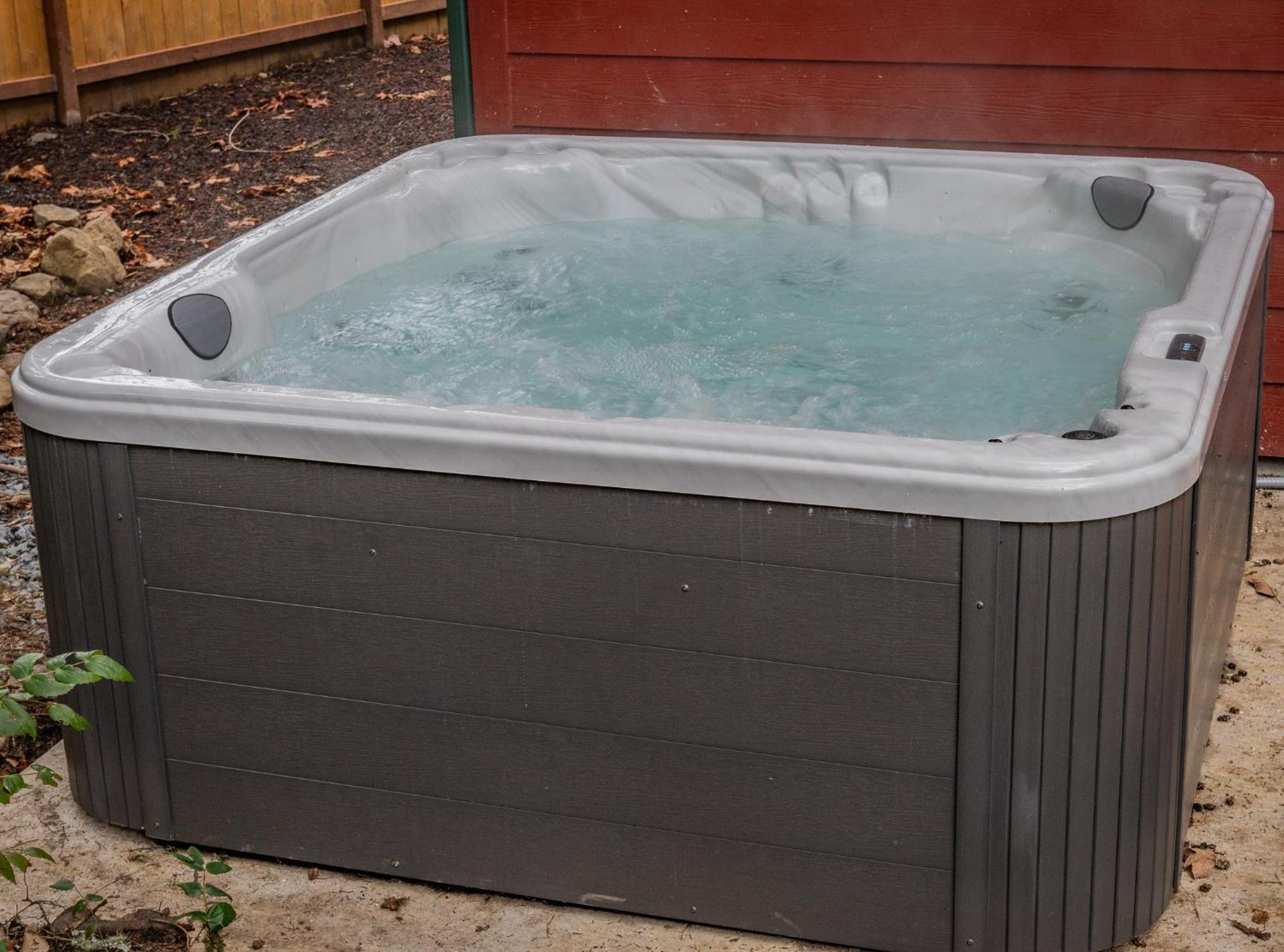 Mt. Rainier Cabin W/Hot Tub Ashford Εξωτερικό φωτογραφία
